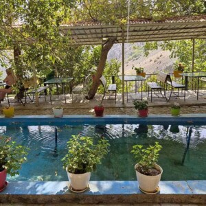 کافه در پناهگاه پلنگچال