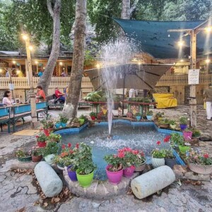 کافه در پناهگاه پلنگچال