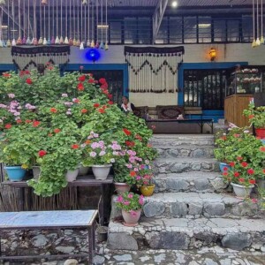 کافه در پناهگاه پلنگچال